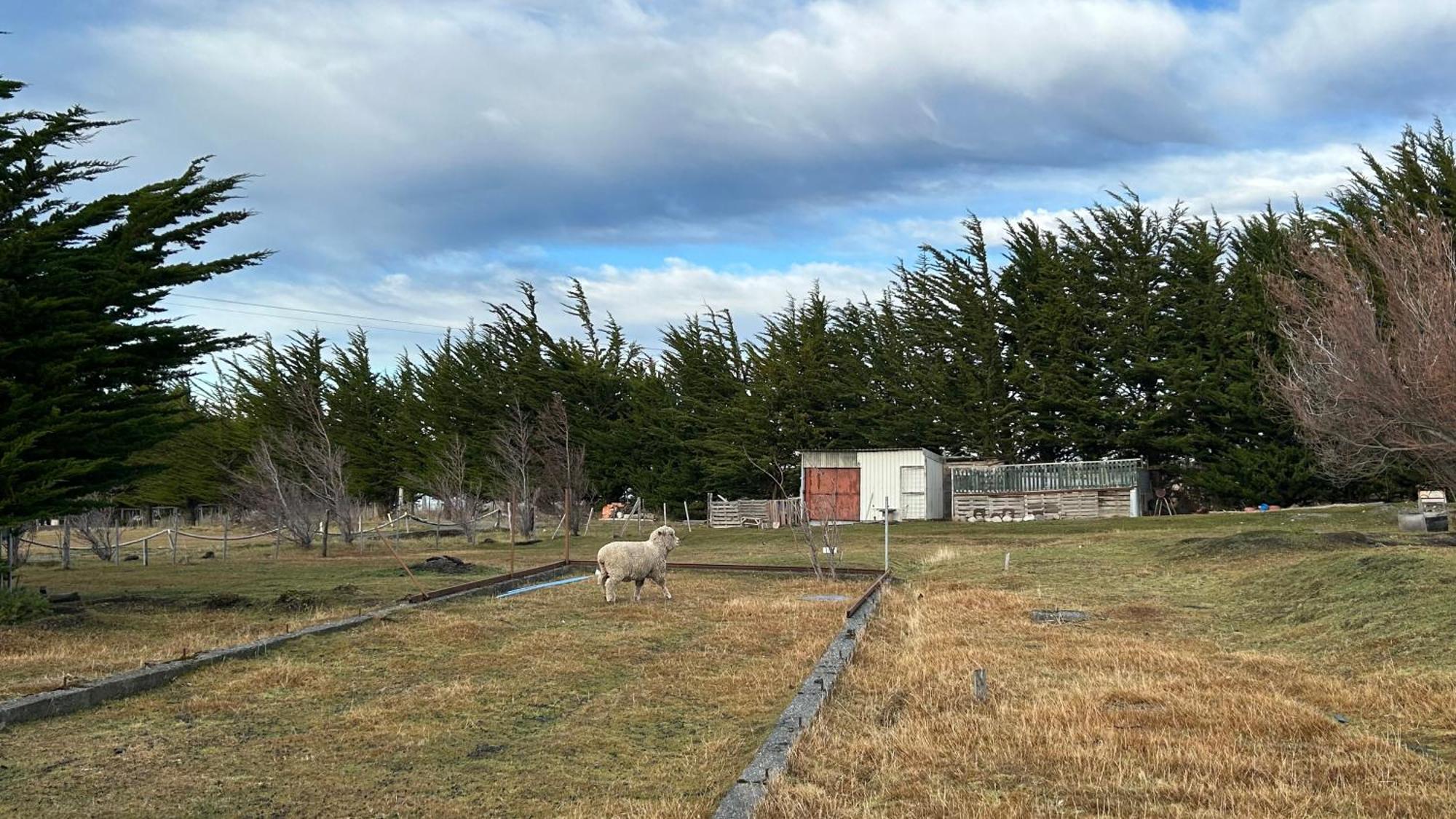 Hospedaje Isla Magdalena Punta Arenas Zewnętrze zdjęcie