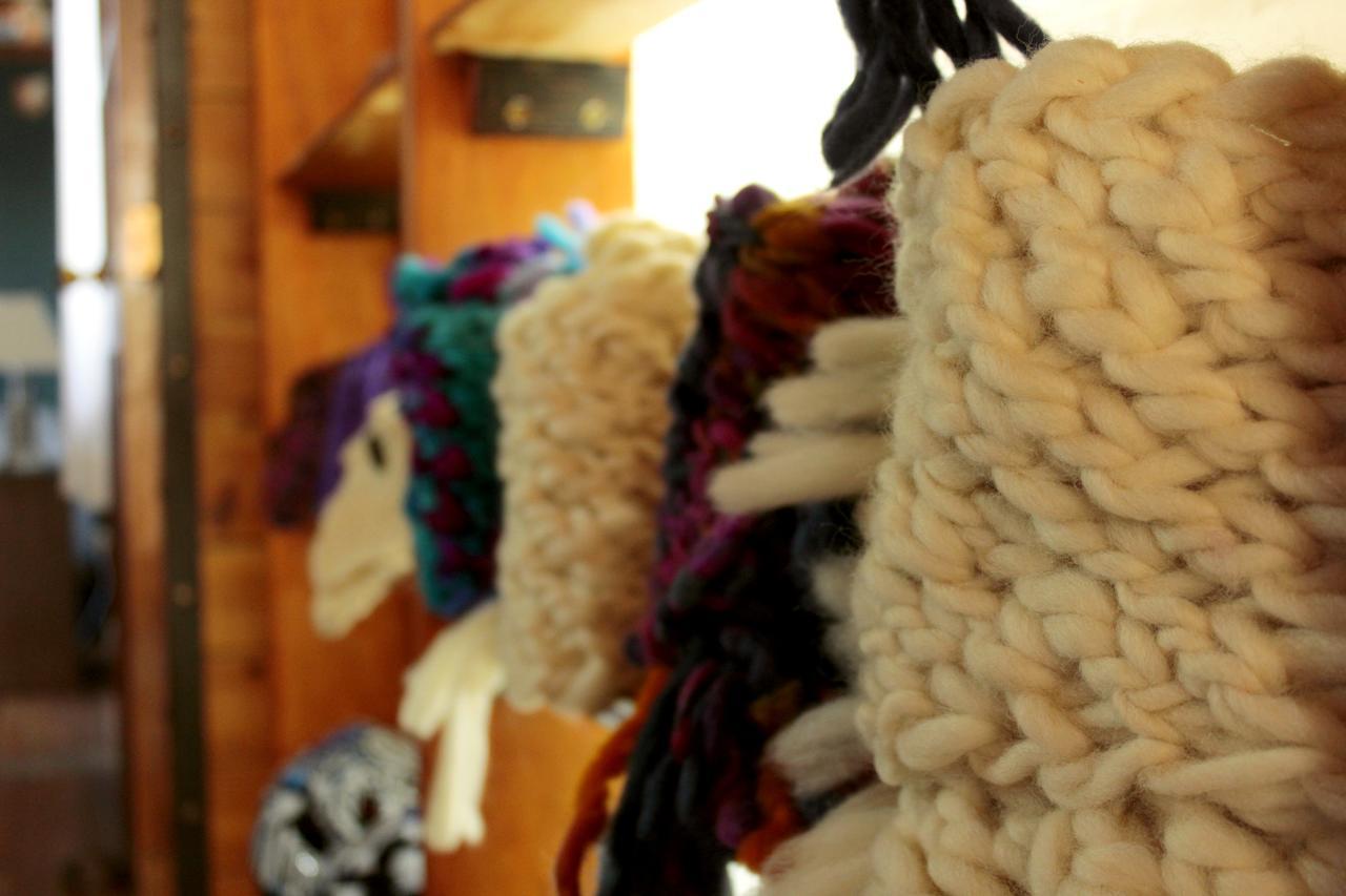 Hospedaje Isla Magdalena Punta Arenas Zewnętrze zdjęcie